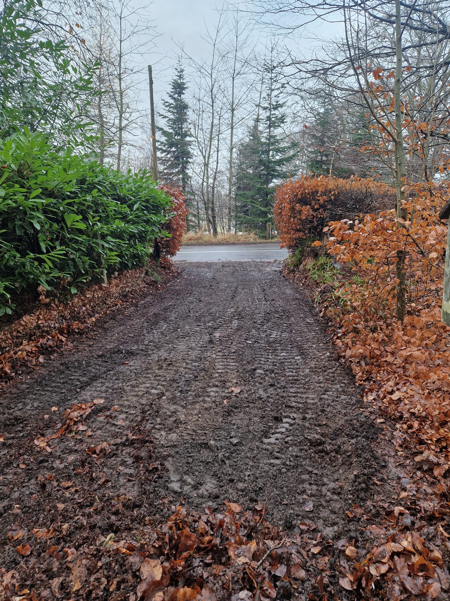 Muddy rutted driveway before red chip installation